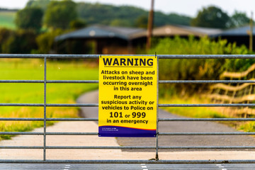 warning attack on sheep and livestock in agriculture area sign. england uk