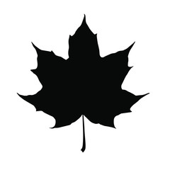 Silhouette Maple Leaf Shape Ink