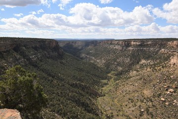 Fototapeta na wymiar canyon