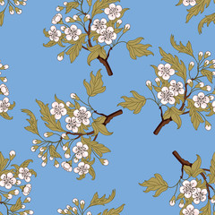 Seamless floral pattern with branches of blooming hawthorn tree.	