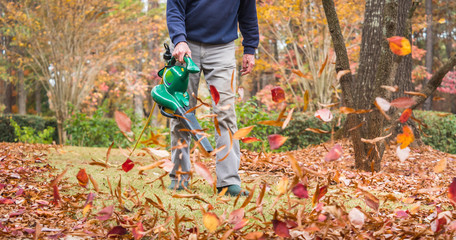 Man using electric powered leaf blower to blow autumn leaves from grass lawn. Landscape worker...