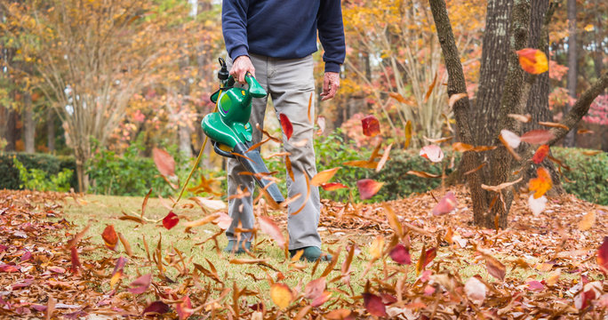 Man Using Electric Powered Leaf Blower To Blow Autumn Leaves From Grass Lawn. Landscape Worker Clearing Fall Leaves From Residential Yard.