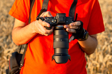 Naklejka premium Close up man holding modern digital camera with big zoom lens while shooting in wheat field at sunset. The photographer views the captured images on the camera