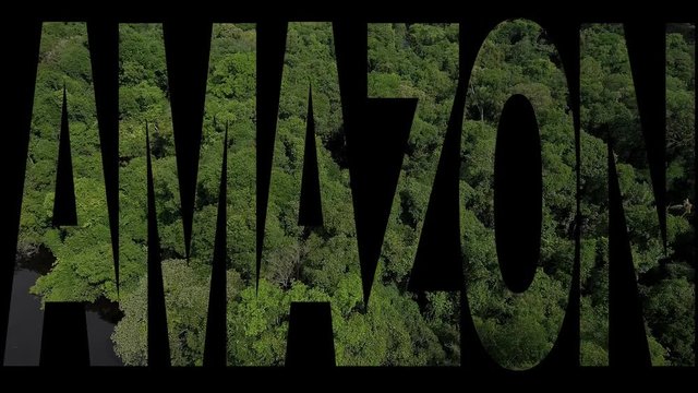 Amazon Rainforest text on aerial view of Anavilhanas Archipelago, Brazil