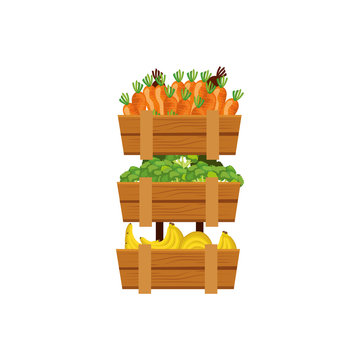 fresh and healthy vegetable isolated icon vector illustration design