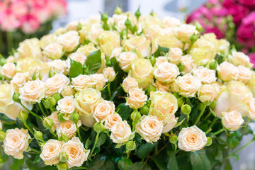 Beautiful wedding bouquet in hands of the bride. beautiful bouquet of roses