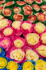 Multi-colored fresh roses. Huge bouquet of roses. vertical photo