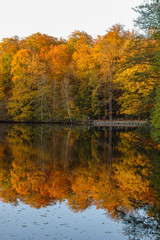 Colorful autumn landscape with orange trees reflected in the pond 