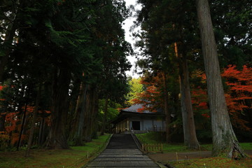 世界遺産　紅葉の中尊寺