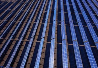 Solar panels green energy