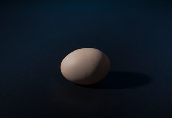 Chicken eggs isolated on dark blue background. Protein source, healthy food