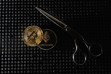 Naklejka premium Payment for cryptocurrency services. Bitcoin is the future currency. 