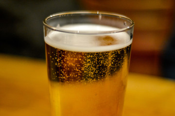 Pilsen beer pint on pub