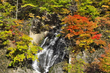 紅葉の滝