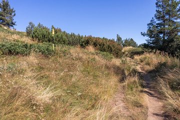 Obraz premium Autumn Panorama of Vitosha Mountain, Bulgaria
