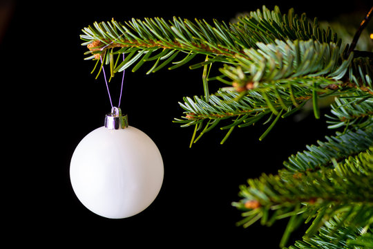 รูปภาพNordmann – เลือกดูภาพถ่ายสต็อก เวกเตอร์ และวิดีโอ1,185 | Adobe Stock