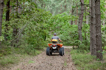 Man riding a yellow quad ATV all terrain vehicle on a sandy forest. Extreme sport motion, adventure, tourist attraction.