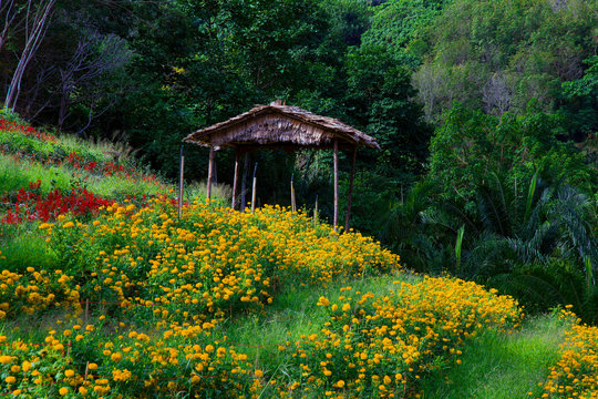 View on monastery big Remeta garden from hill