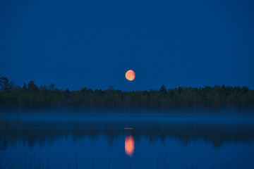 Beautiful moon rising in the night sky