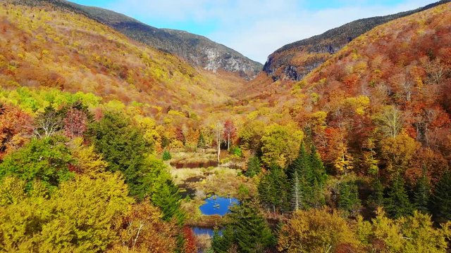 aerial footage of the trees in the fall in Stowe Vermont