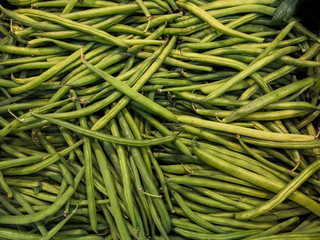  Harvesting green beans, freshness and taste in priority