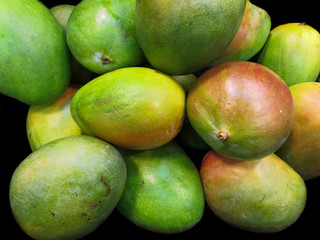  Harvest of beautiful mangoes growing, tropical fruit