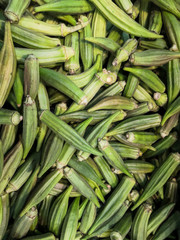  Harvest of fresh okra, tropical vegetable