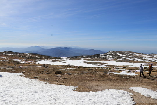 Neve