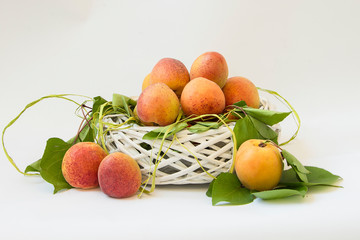 Fresh apricots with leaves on white background