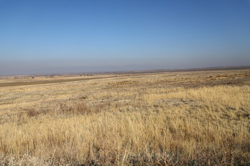 Obraz premium Autumn steppe in Kazakhstan. Yellow grass. Landscape.