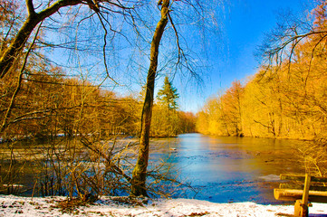 Naklejka na ściany i meble First snow at the pond on a beautiful sunny day with blue sky reflected in the water surrounded by orange trees