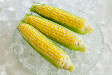 新鮮さを維持するため氷で冷やしたトウモロコシ