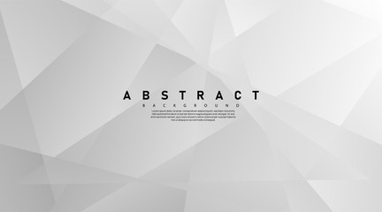 Modern abstract light silver background vector. Elegant concept design with line.Vector Illustration For Wallpaper, Banner, Background, Card, Book Illustration, landing page