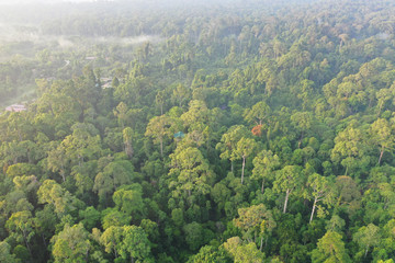 Obraz premium Aerial view of Tropical Rainforest in Malaysia