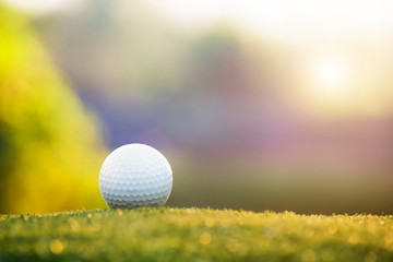 golf ball is on a green lawn in a beautiful golf course