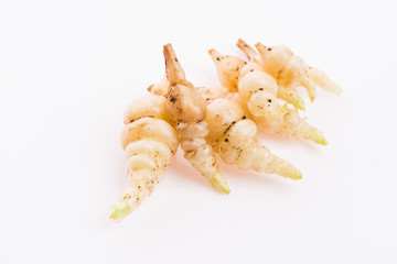 Japanese crosne Stachys affinis tubers rhizome root vegetable closeup