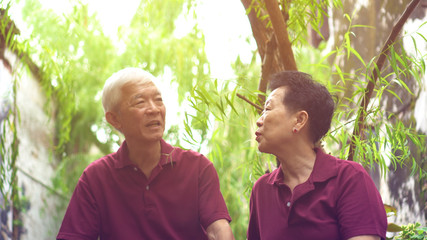 Asian old couple traveling sitting under green willow tree explore place