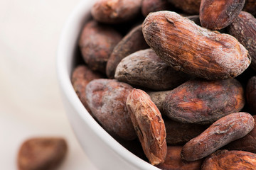 Bowl of cacao beans on a white background