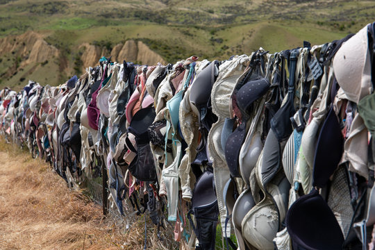 Quirky Cardrona Bra Fence, New Zealand