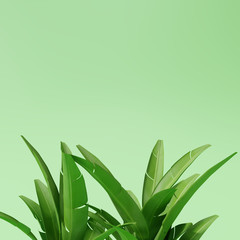 Fototapeta premium Tropical leaves with neo mint color background. 3d rendering