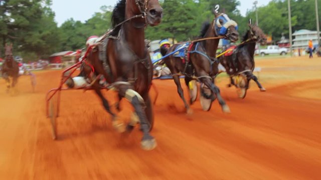 Horse Race Track 2