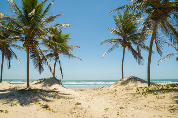 Beautiful view of Mangue Seco in Bahia, small fisherman's beach