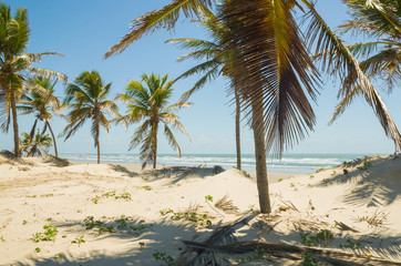 Beautiful view of Mangue Seco in Bahia, small fisherman's beach