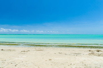 Fototapeta na wymiar Gorgeous view of Maceio beach with its Caribbean blue waters