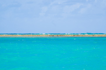Coral barrier of Maragogi beach in Alagoas Brazil