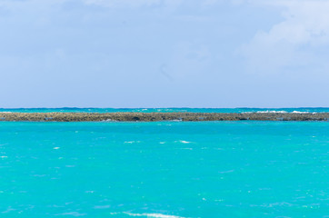 Fototapeta premium Coral barrier of Maragogi beach in Alagoas Brazil