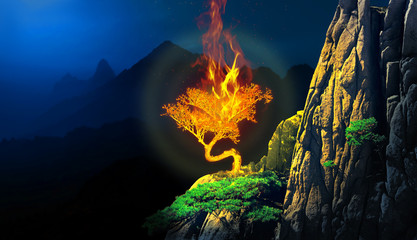 Burning bush plant in a cliff of a mountain