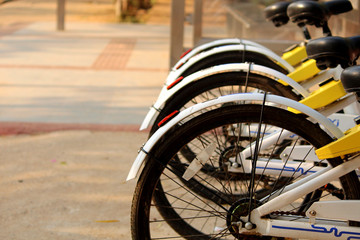 bicycles kept in a row for travel