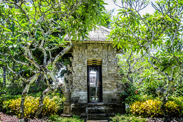 balinese doorway and architecture surrounded by many  trees and flora