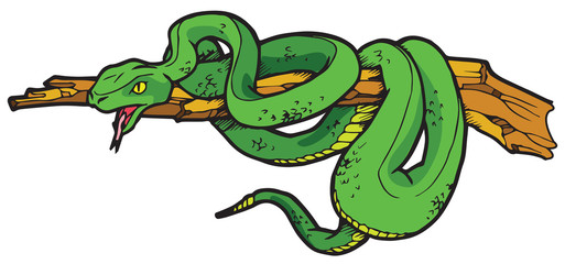 Snake Vector Illustration